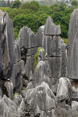 181 Kunming, stone forest.jpg